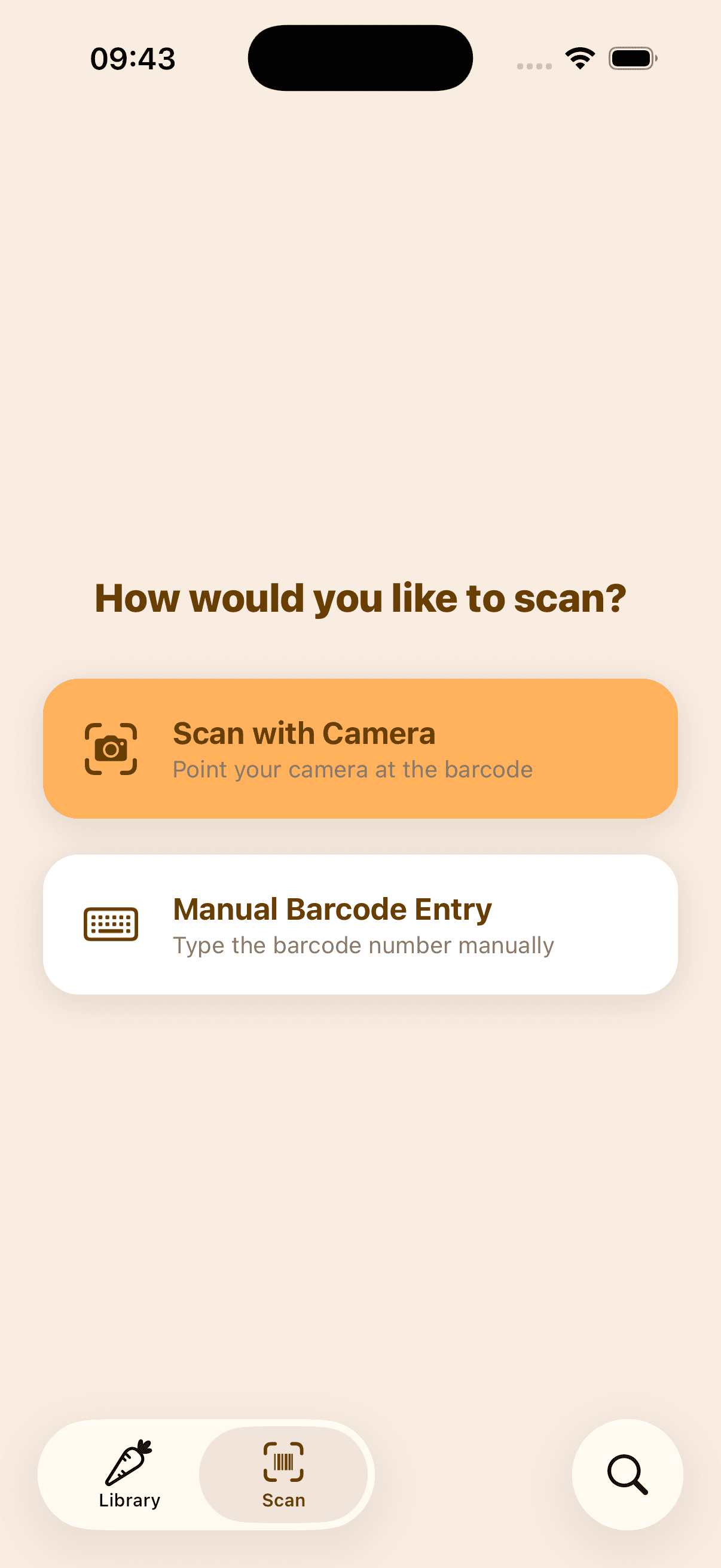 Choose how to scan preview: camera or manual barcode entry